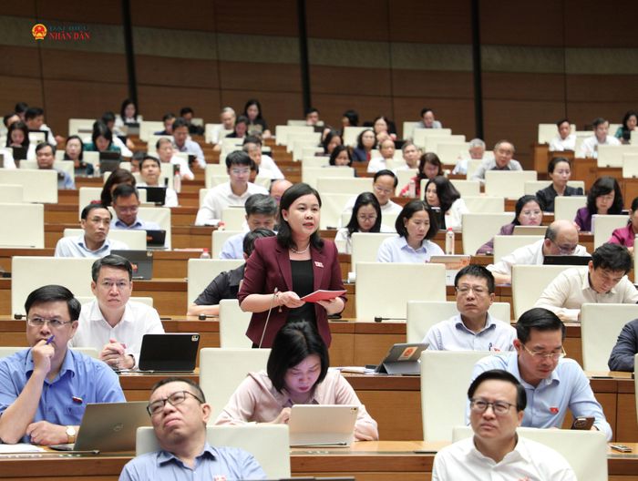 Đại biểu Nguyễn Phương Thuỷ (TP. Hà Nội) phát biểu