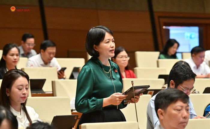 ĐBQH Nguyễn Thị Mai Thoa (TP. Hải Phòng) phát biểu