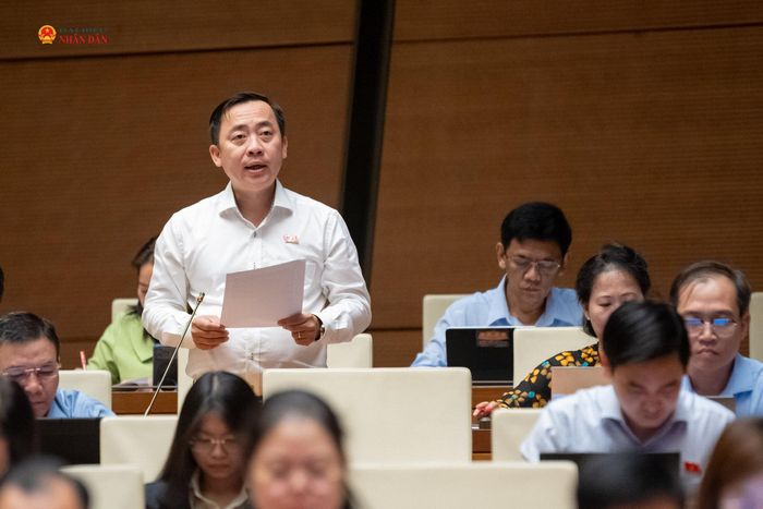 ĐBQH Đào Chí Nghĩa (TP. Cần Thơ) phát biểu