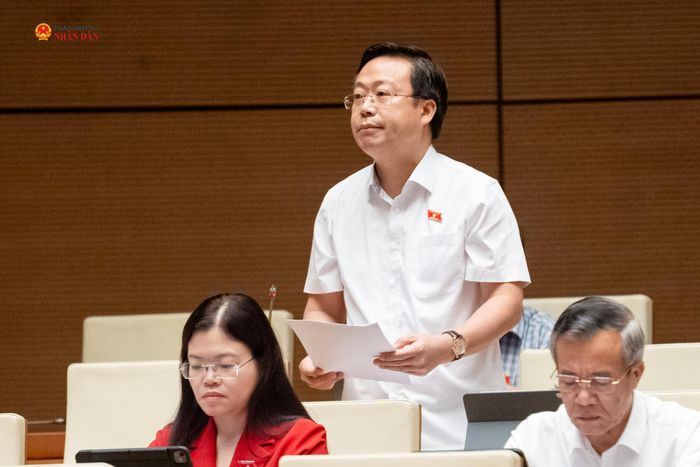 ĐBQH Nguyễn Đại Thắng (Hưng Yên) phát biểu