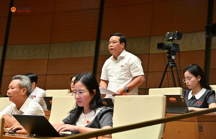 ĐBQH Ngô Nam Cường (Nghệ An) phát biểu