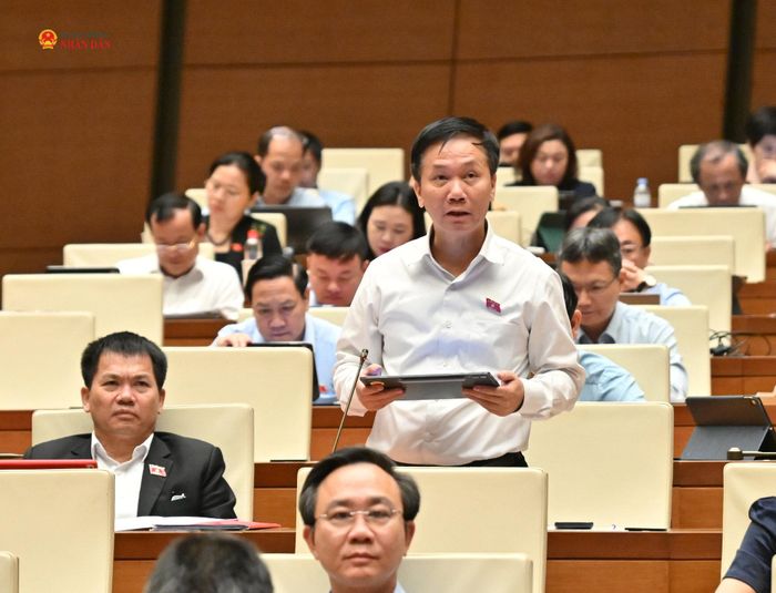 ĐBQH Lâm Văn Đoan (Lâm Đồng) phát biểu