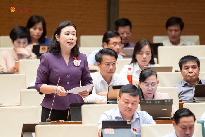 ĐBQH Lê Thị Song An (Tây Ninh) phát biểu