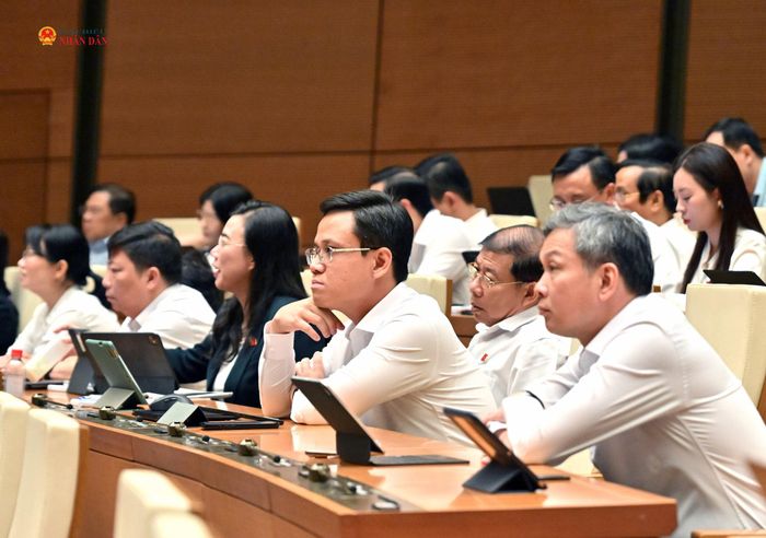 Các đại biểu dự phiên họp
