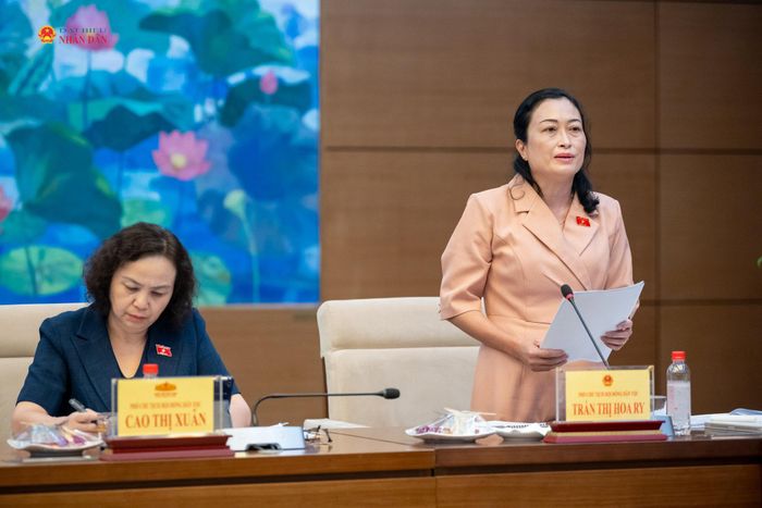 Phó Chủ tịch Hội đồng Dân tộc Trần Thị Hoa Ry trình bày dự thảo Báo cáo thẩm tra sơ bộ Tờ trình của Chính phủ
