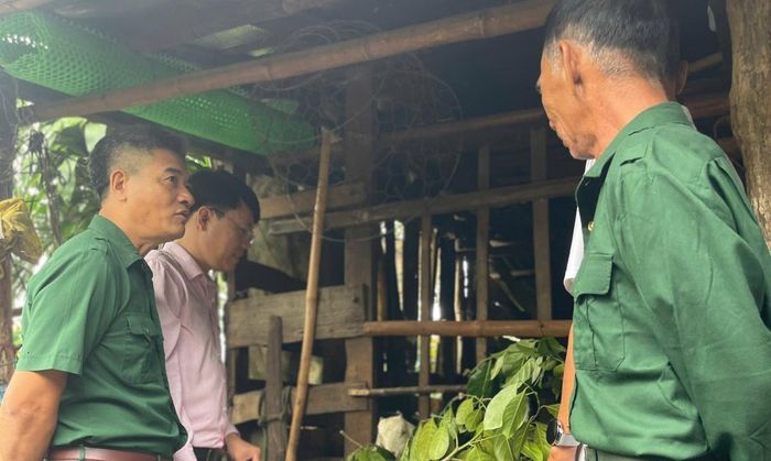 Gia đình CCB Vũ Hoàng Ba ở xã Krông Nô vay vốn thuộc chương trình cho vay hộ gia đình sản xuất, kinh doanh vùng khó khăn đầu tư vào chăn nuôi dê.