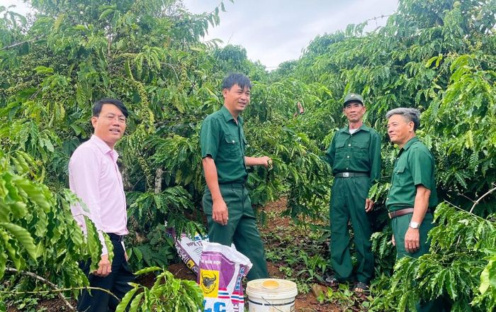 Tín dụng chính sách đã và đang tiếp sức cựu chiến binh ở Lâm Đồng trên “mặt trận” kinh tế.