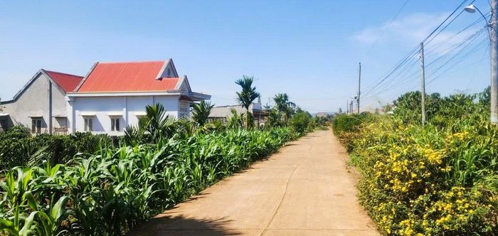 Sử dụng hiệu quả nguồn vốn chính sách, nhiều CCB đã vươn lên làm giàu chính đáng, đóng góp tích cực vào sự phát triển chung của Lâm Đồng.
