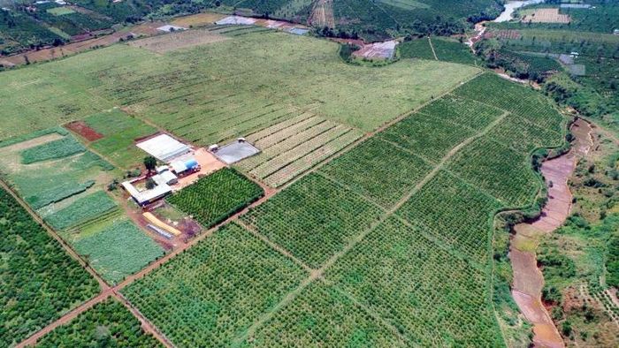Việc tiếp tục đầu tư tín dụng cho doanh nghiệp cần gắn với khả năng hấp thụ vốn và hiệu quả của từng phương án sản xuất, kinh doanh.