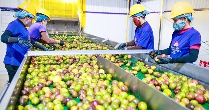 Ngành Ngân hàng Gia Lai chủ động tìm đến doanh nghiệp, hợp tác xã, hộ sản xuất và các dự án đầu tư có hiệu quả, rút ngắn khoảng cách giữa nhu cầu vốn và khả năng tiếp cận vốn.