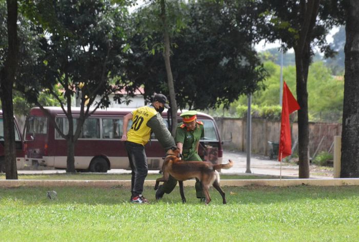 Các đội tham gia hội thi.
