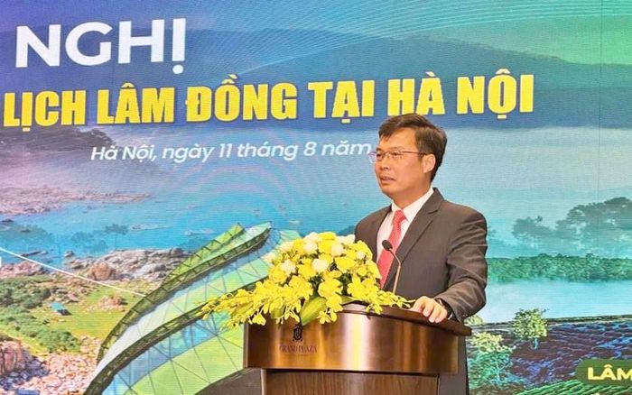Phó Chủ tịch UBND tỉnh Đinh Văn Tuấn phát biểu tại Hội nghị.