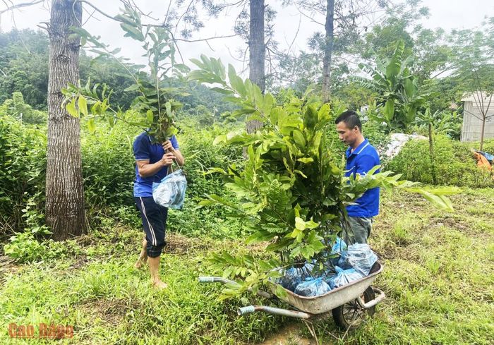 Chuẩn bị cây giống chất lượng, tạo nguồn lực thực hiện mục tiêu phát triển kinh tế rừng.