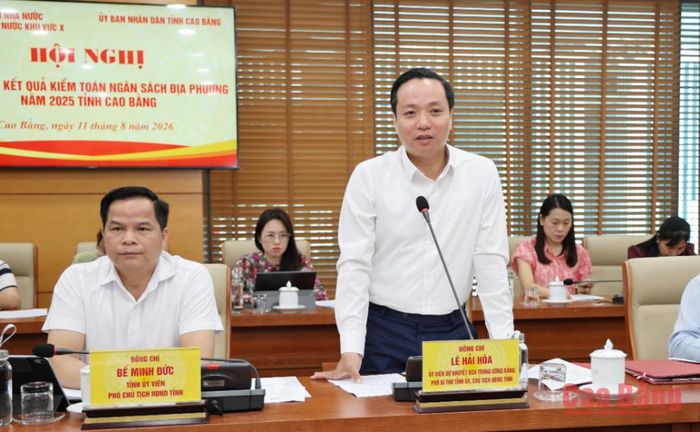 Chủ tịch UBND tỉnh Lê Hải Hòa phát biểu tại hội nghị.
