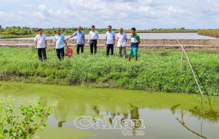 Nghị quyết chỉ thực sự đi vào cuộc sống khi được cụ thể hoá bằng những việc làm thiết thực, tạo sự đồng thuận trong Nhân dân. (Trong ảnh: Cán bộ, đảng viên xã Tân Lộc tham quan mô hình nuôi cá bống tượng kết hợp nuôi tôm của hộ ông Trần Văn Giới, ấp Kênh Ngang).