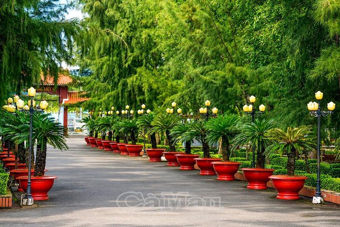  Hệ thống chiếu sáng trong khuôn viên được chỉnh trang, bổ sung và thay thế.
