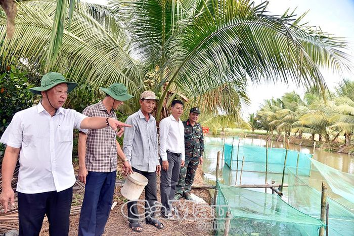 Trưởng Ban Tuyên giáo và Dân vận Tỉnh uỷ Hồ Trung Việt (bìa trái) tham quan mô hình lúa - cá của nông dân Phan Văn Nhanh, ấp Mỹ Hòa.