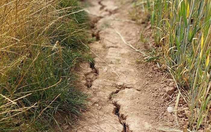 Các vùng trồng trọt phụ thuộc nhiều vào tưới tiêu đang chịu rủi ro lớn khi nguồn nước dành cho sản xuất ngày càng hạn chế