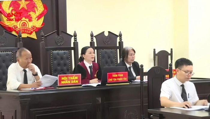  Hội đồng xét xử phiên tòa vụ án liên quan đến hoạt động sản xuất, kinh doanh phân bón giả tại Công ty Cổ phần Tập đoàn Hòa Kỳ - Vina. 