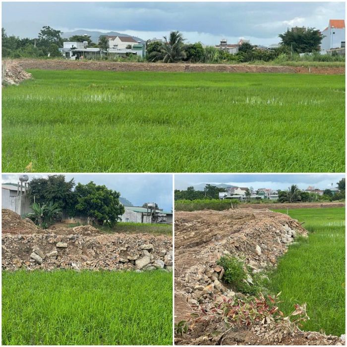 Hình ảnh những ngày đầu thực hiện việc san lấp đất trồng lúa tại thôn Tân Tiến xã Đam Rông 3, Lâm Đồng
