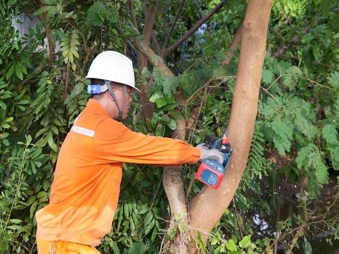 Công ty Điện lực Thái Nguyên thực hiện phát quang, cắt tỉa cây cối gần hành lang lưới điện, chủ động loại trừ nguy cơ ảnh hưởng đến đường dây trong mùa mưa bão.