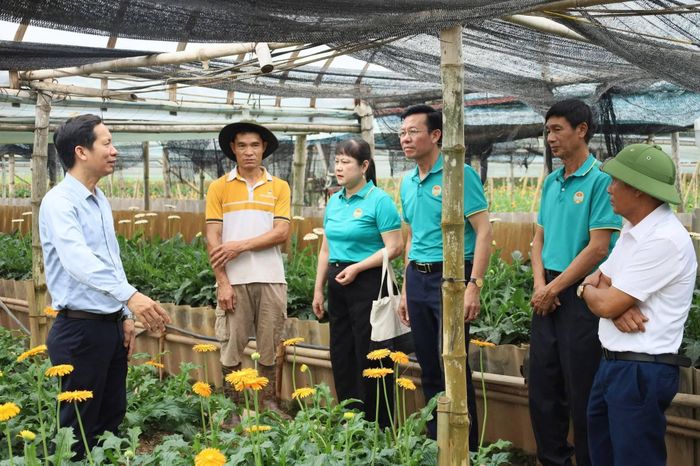 Mô hình trồng hoa đồng tiền gắn với du lịch trải nghiệm tại xã Đan Phượng. Ảnh: Nguyễn Cường