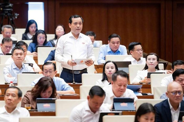 Đại biểu Quốc hội Lê Văn Đông (Đoàn thành phố Hồ Chí Minh) phát biểu. Ảnh: Quochoi.vn