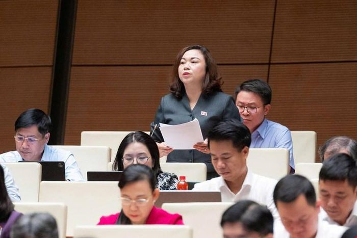 Đại biểu Quốc hội Đặng Bích Ngọc (Đoàn Phú Thọ) phát biểu thảo luận. Ảnh: Quochoi.vn