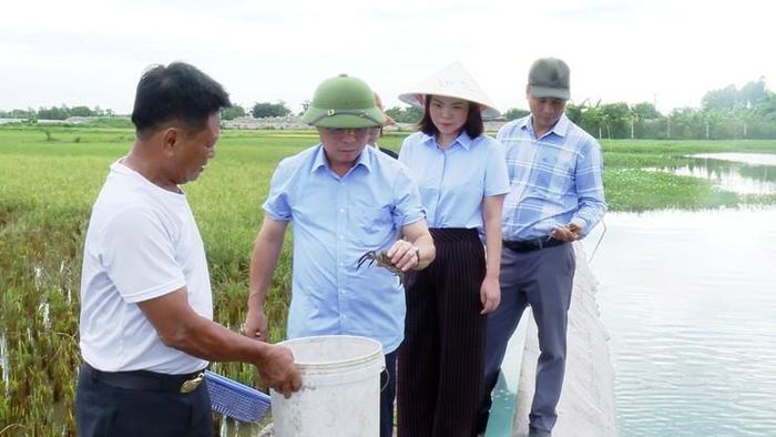 Sau khi nuôi thử nghiệm, xã Ứng Hòa sẽ đánh giá toàn diện kết quả trước khi nhân rộng mô hình. Ảnh: Lê Quí