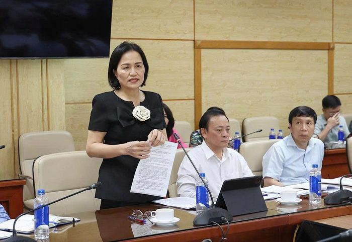 Bà Trần Thị Kim Nhung - Ủy viên chuyên trách Ủy ban Pháp luật và Tư pháp của Quốc hội phát biểu.  Ảnh: Trần Minh