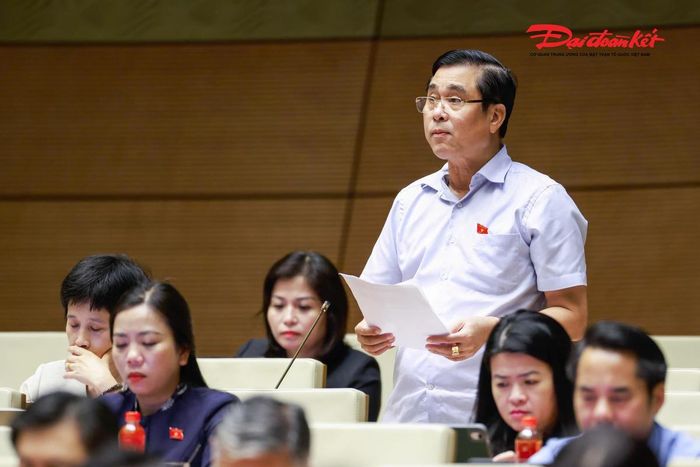 Đại biểu Nguyễn Cao Sơn phát biểu (Ảnh: Quang Vinh)