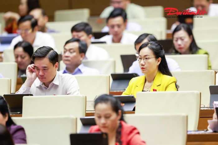Các đại biểu tham dự phiên thảo luận. Ảnh: Quang Vinh