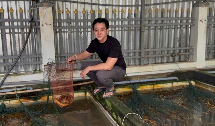 Hiện gia đình anh Nguyễn Hồng Phong sở hữu 15 hồ nuôi lươn không bùn; mỗi hồ thu hoạch 600-800kg, tùy kích cỡ. Ảnh Hồng Thắm