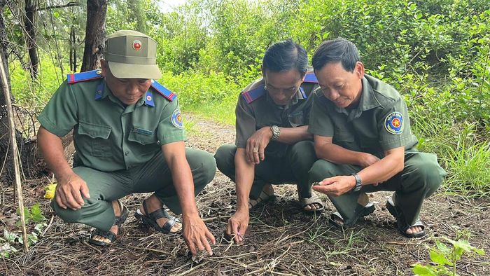 Lực lượng quản lý, bảo vệ rừng kiểm tra thực địa, đánh giá tình hình để kịp thời xử lý các nguy cơ phát sinh. (Ảnh: Trung Ngãi)