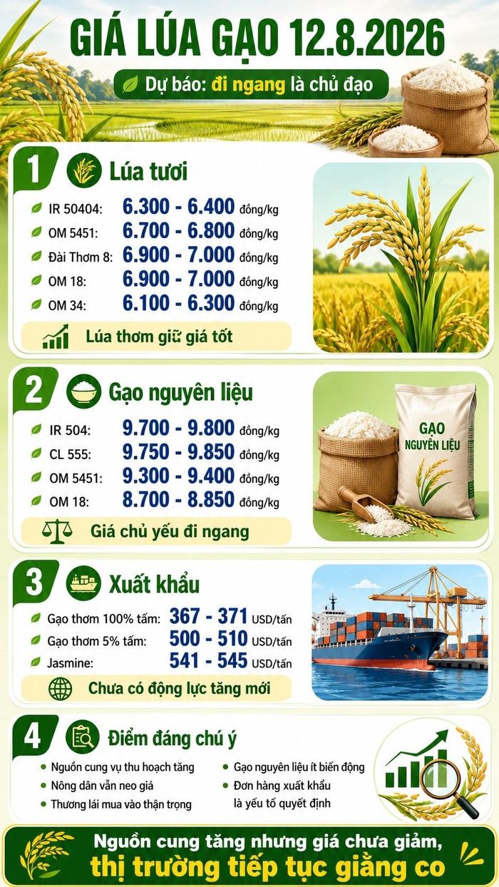 Các mức giá ngày 12.8.2026 trong bài là vùng dự kiến dựa trên diễn biến thị trường gần nhất; giá thực tế có thể thay đổi tùy khu vực, chất lượng hàng và thời điểm giao dịch.