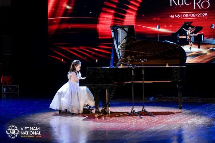 Liên hoan có số lượng các bộ môn dự thi nhiều nhất Việt Nam với 8 hạng mục nghệ thuật và 21 bộ môn dự thi