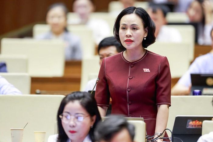 Đại biểu Trần Thị Hồng Thanh phát biểu