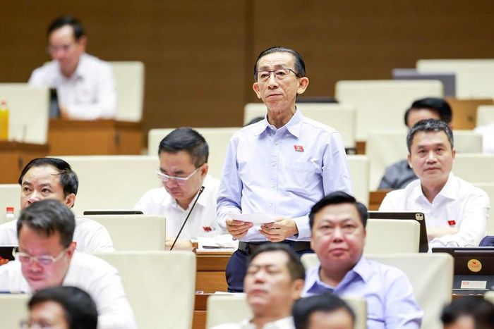 Đại biểu Trần Hoàng Ngân phát biểu