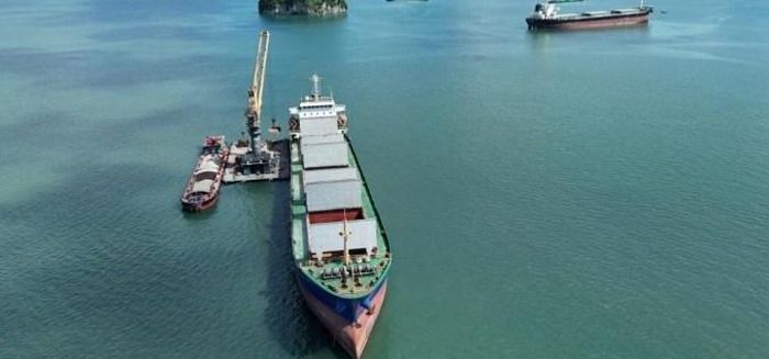Khu hợp tác kinh tế qua biên giới Móng Cái - Đông Hưng mở thêm dư địa cho thương mại và logistics. Ảnh minh hoạ