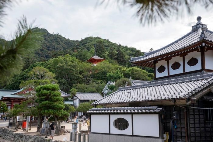Cảnh quan trên đảo Miyajima là sự kết hợp hài hoà giữa thiên nhiên và lịch sử. Ảnh: Xuân Giao - PV TTXVN tại Nhật Bản