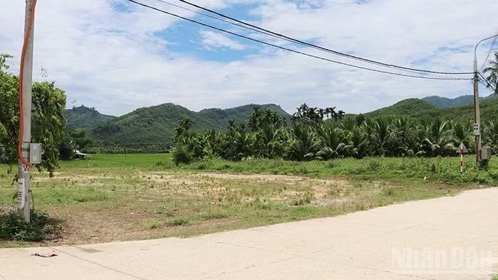  Khu bố trí dân cư nằm trong vùng sạt lở đến nơi an toàn thôn Bồng Miêu có tổng diện tích hơn 6.700m2 đã hoàn thành. 