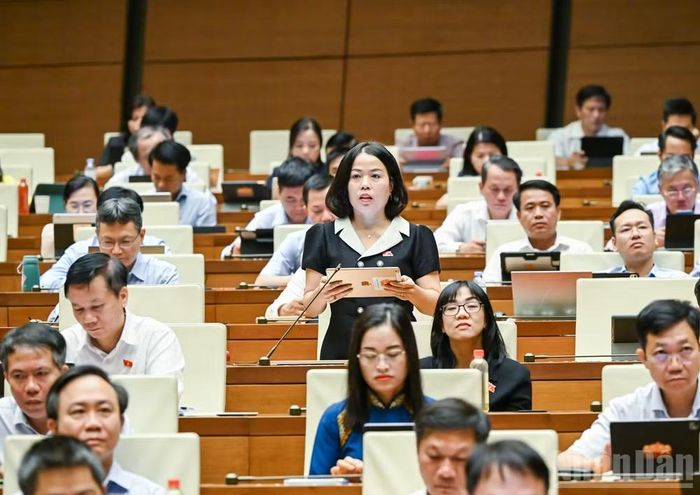 Đại biểu Lý Thị Lan (Đoàn Tuyên Quang).