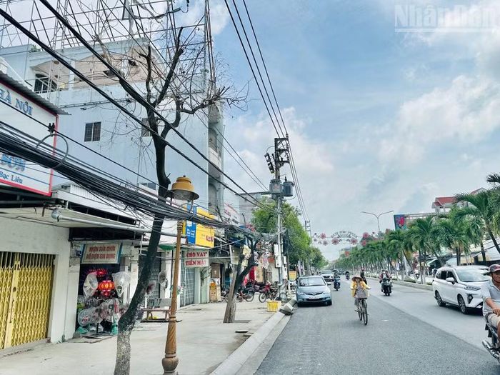 Nhiều cây xanh tốt hàng chục năm nay “bỗng nhiên” chết trắng, làm xấu hình ảnh phường Bạc Liêu đang nỗ lực vươn lên trong thời kỳ phát triển mới. (Ảnh: TRỌNG DUY)