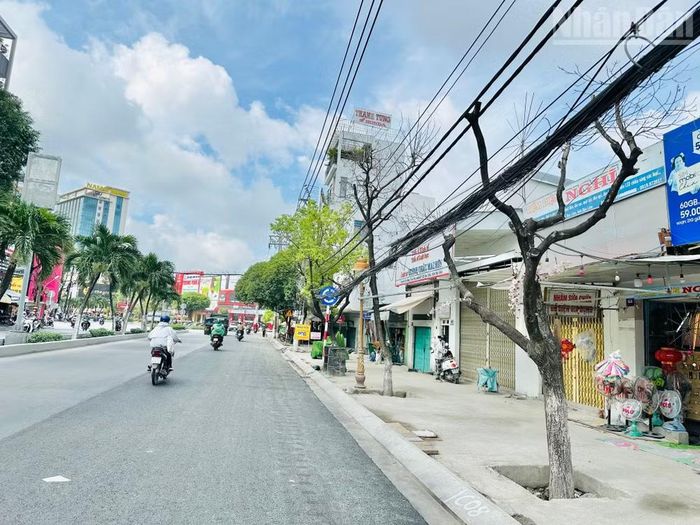 Nhiều cây xanh tốt hàng chục năm nay “bỗng nhiên” chết trắng, làm xấu hình ảnh phường Bạc Liêu đang nỗ lực vươn lên trong thời kỳ phát triển mới. (Ảnh: TRỌNG DUY)