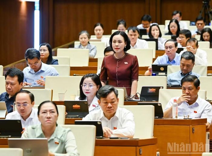 Đại biểu Trần Thị Hồng Thanh, Phó Trưởng Đoàn đại biểu Quốc hội chuyên trách tỉnh Ninh Bình. (Ảnh: DUY LINH)