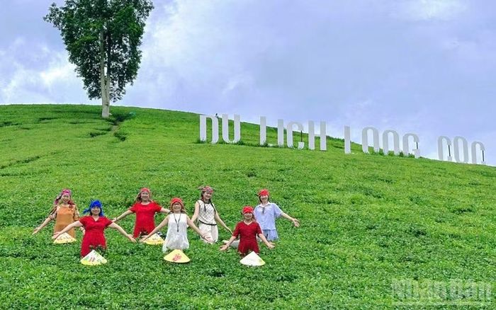  Đến với Long Cốc, du khách được trải nghiệm hái chè, làm nông nghiệp cùng với người dân địa phương. ﻿(Ảnh: Ngọc Long) 