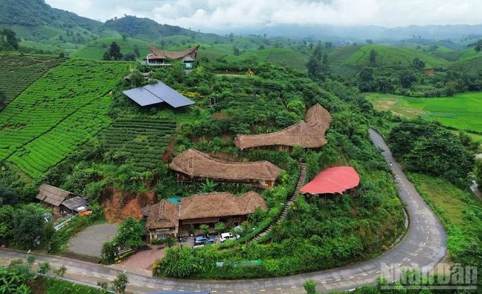 Homestay Long Cốc Ecolodge được đầu tư bài bản là điểm nghỉ dưỡng lý tưởng khi du khách về với Long Cốc. ﻿(Ảnh: Ngọc Long)