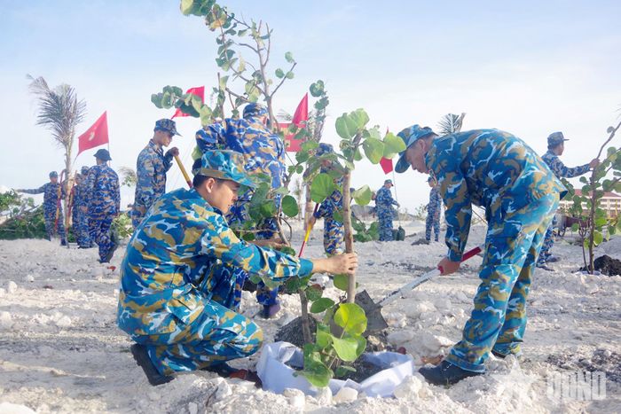   Bộ đội ra-đa cùng các lực lượng trên các đảo trồng cây xanh. Ảnh: NGỌC QUANG