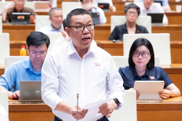 Đại biểu Trần Mạnh Huy (đoàn TP Đà Nẵng).