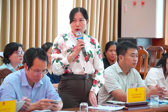  Phó Chủ tịch UBND xã Bình Khánh Nguyễn Thanh Lan tại buổi giám sát. QUANG HUY 